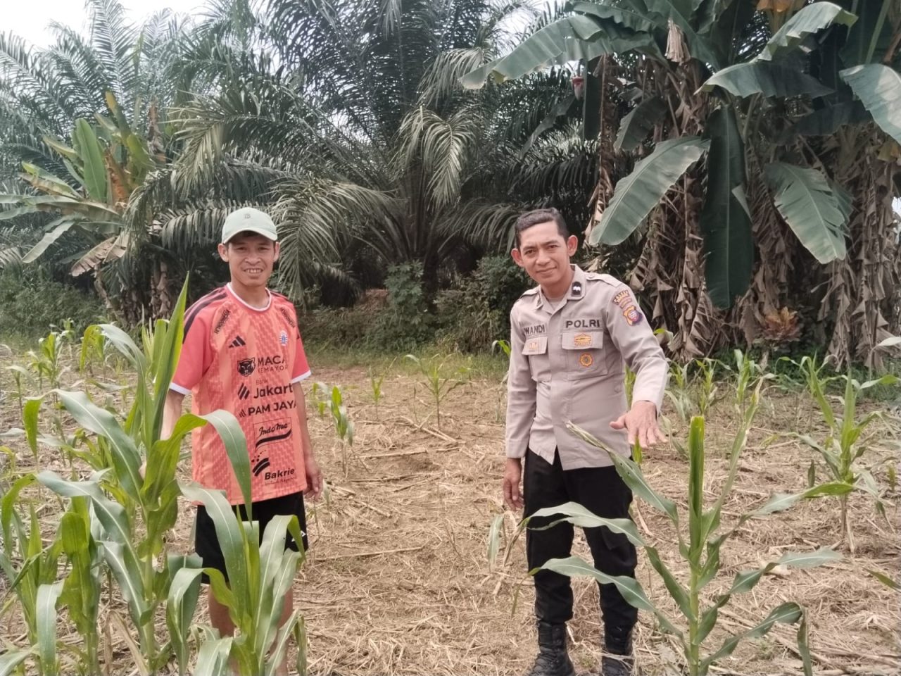 Bhabinkamtibmas Jajaran Polres Singkawang Tingkatkan Kegiatan DDS, Guna Mendukung Ketahanan Pangan