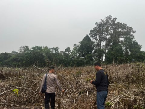 Lahan Aman,Polsek Laksanakan Patroli dan Pengawasan Lahan