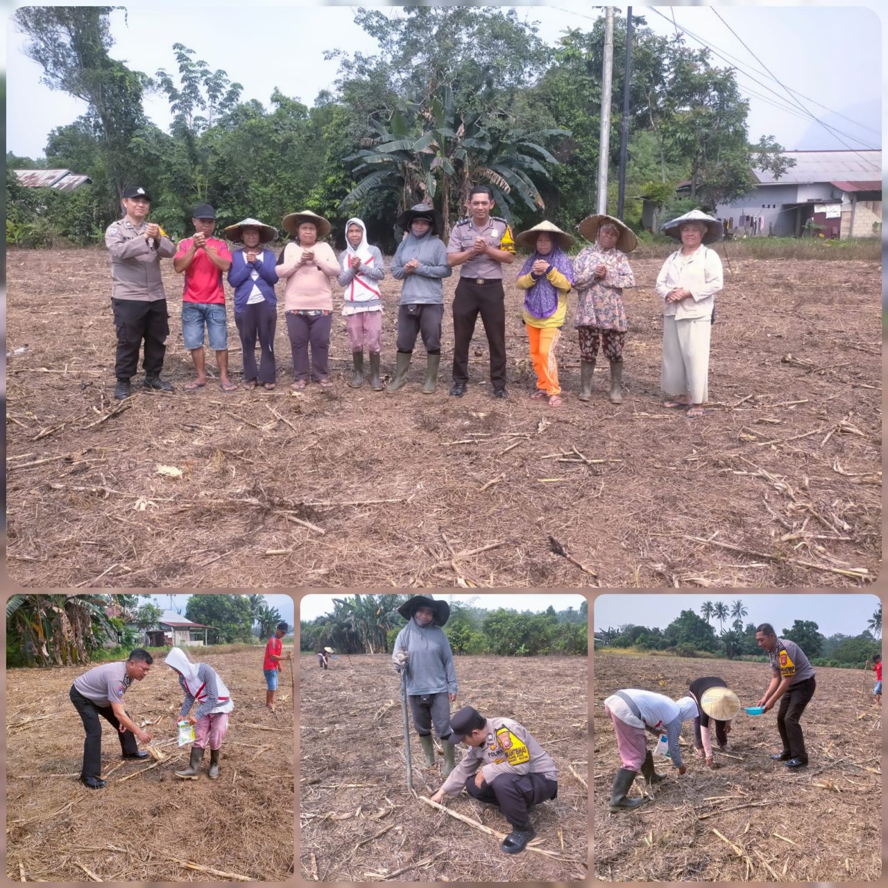 Dukung Ketahanan Pangan, Polres Singkawang Dampingi Penanaman Jagung di Sagatani