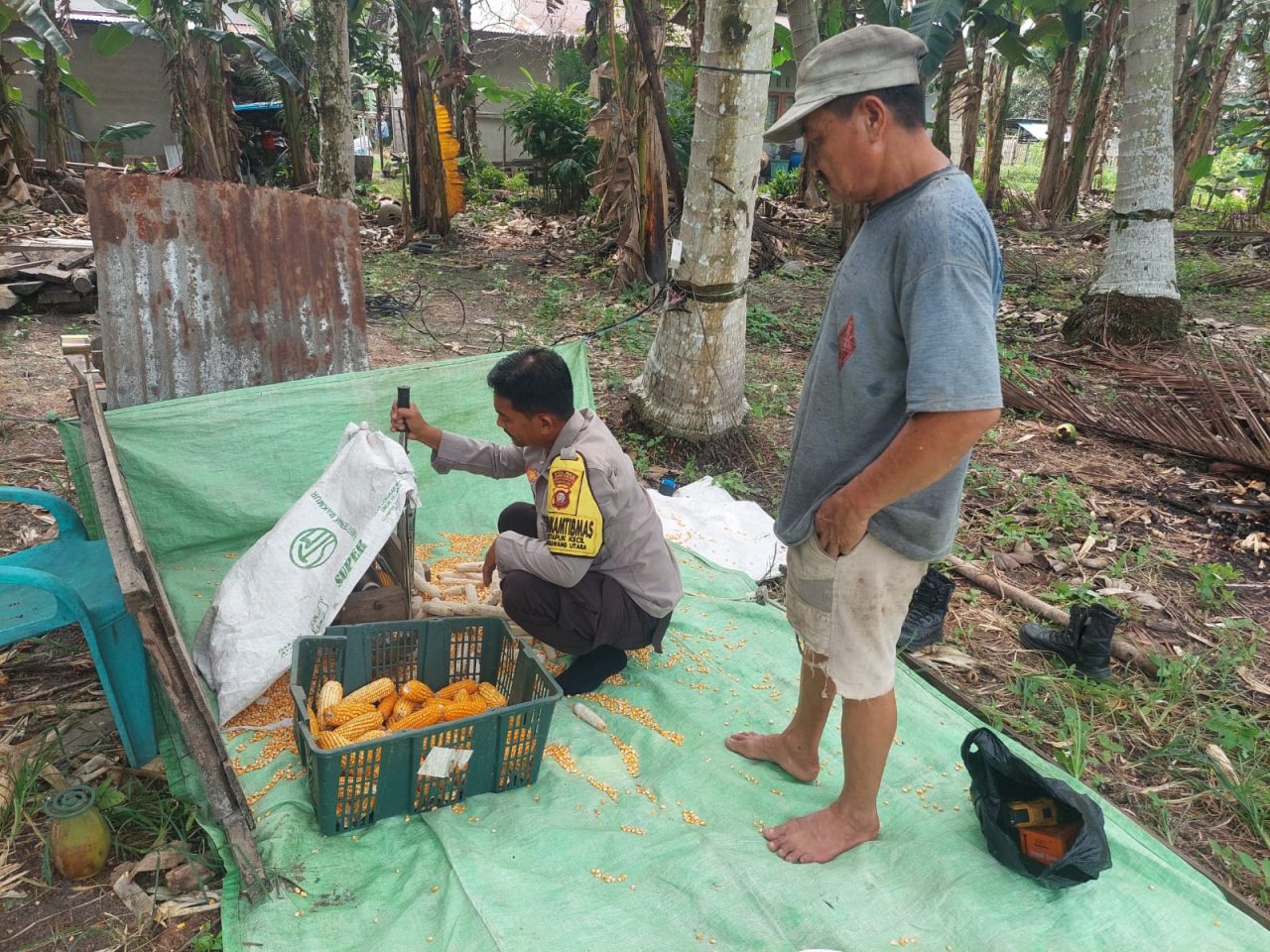 Dukung Ketahanan Pangan, Bhabinkamtibmas Polres Singkawang Bantu Petani Olah Hasil Panen