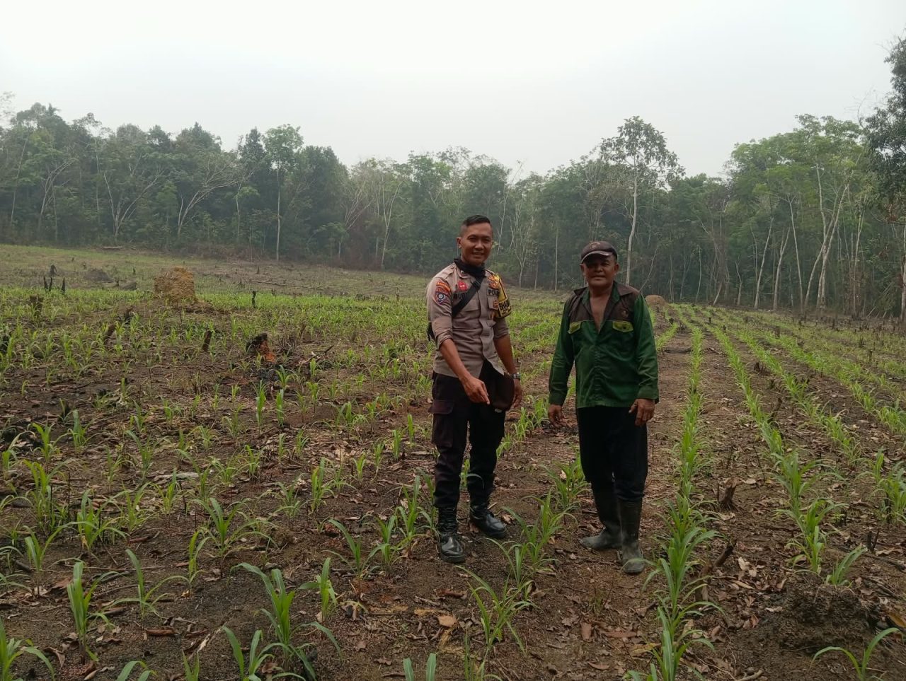 Bhabinkamtibmas Jajaran Polres Singkawang Sambangi Petani, Hadir Dukung Ketahanan Pangan.