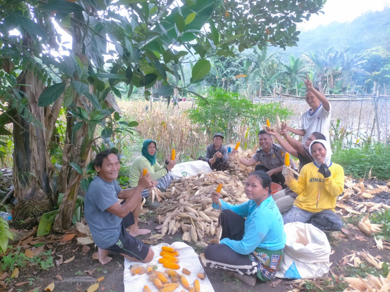 Polres Singkawang Pantau Tanaman Jagung, Siapkan Panen Serentak Desember 2026