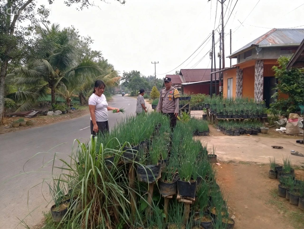 Lewat P2B, Polres Singkawang Dorong Ketahanan Pangan dari Halaman Rumah