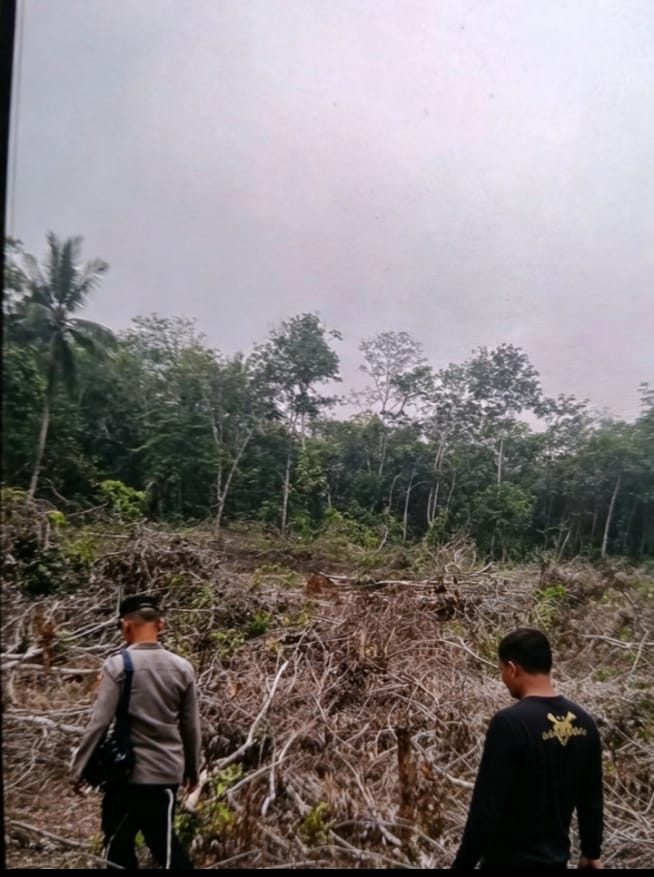 Kondisi Lahan Bekas Terbakar Tetap Terpantau,Patroli Rutin dilaksanakan